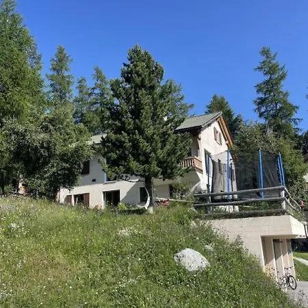 Chesa Muntanaia By Interhome Apartment Pontresina