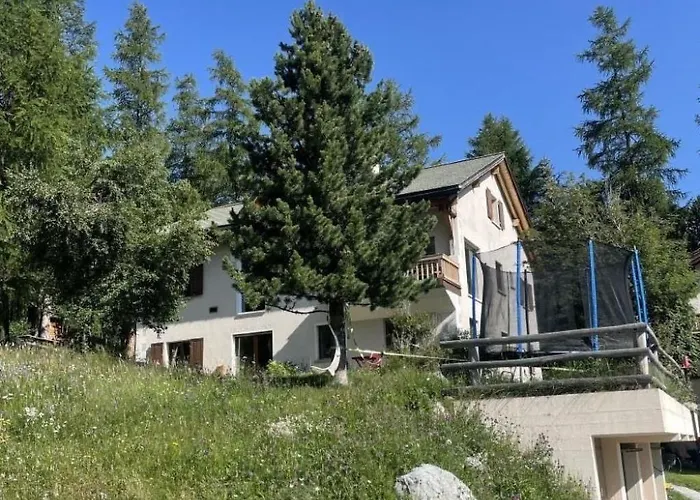 Chesa Muntanaia By Interhome Appartement Pontresina